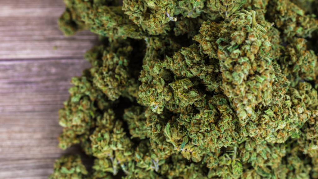 Read more about the article High vs. Stoned: Understanding the Differences