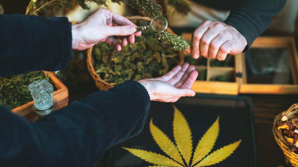 Read more about the article How to Use Cannabis Responsibly: A Guide to Safe Consumption Practices