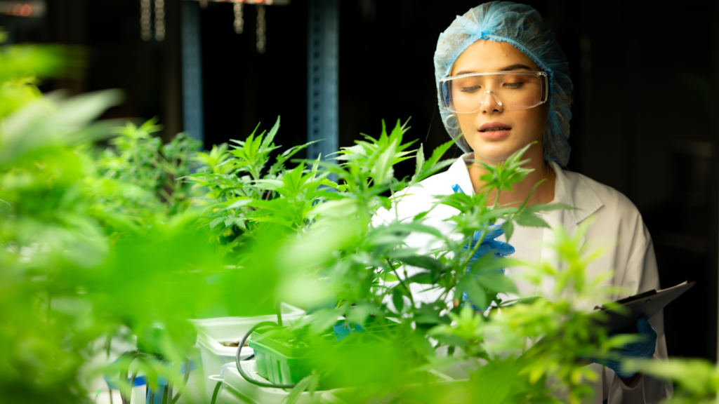 Read more about the article The Science Behind Cannabis: Understanding Its Effects and Benefits