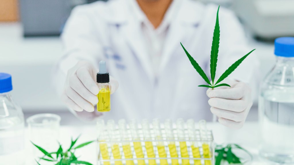 Read more about the article Understanding the Science Behind CBD and How It Works: A Clear Guide to Its Mechanisms and Benefits